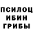 Псилоцибиновые грибы прущие грибы Maria Admonson
