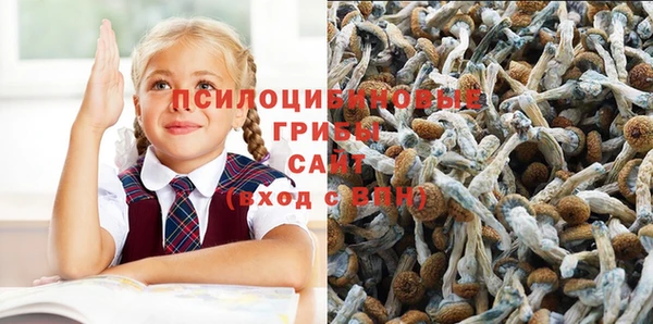мяу мяу мука Нефтегорск