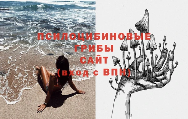 гидропоника Нея