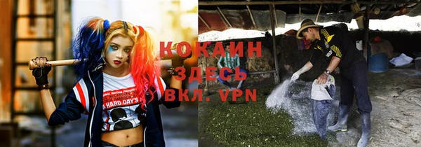 мяу мяу мука Нефтегорск