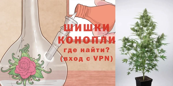 гидропоника Нея