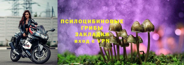 гидропоника Нея