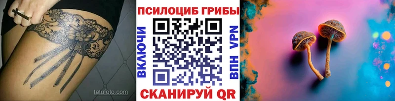 купить наркотики сайты  Щучье  мориарти клад  Псилоцибиновые грибы Cubensis 